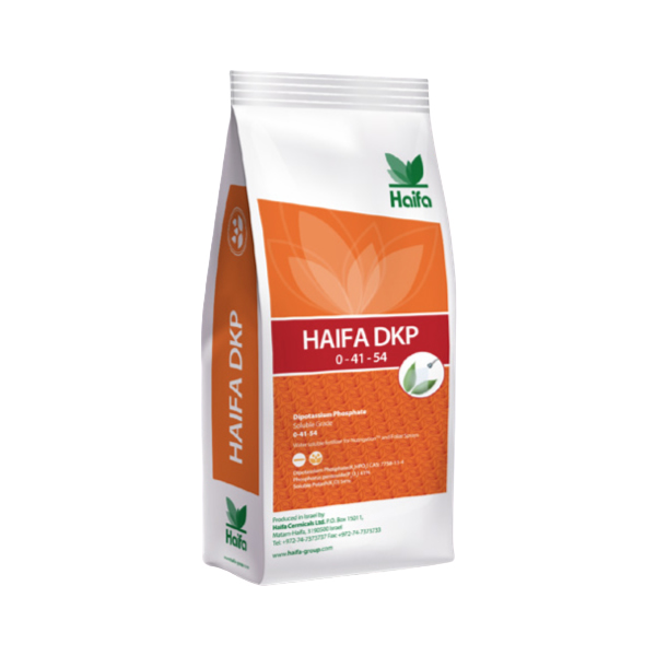 HAIFA DKP 0-41-54