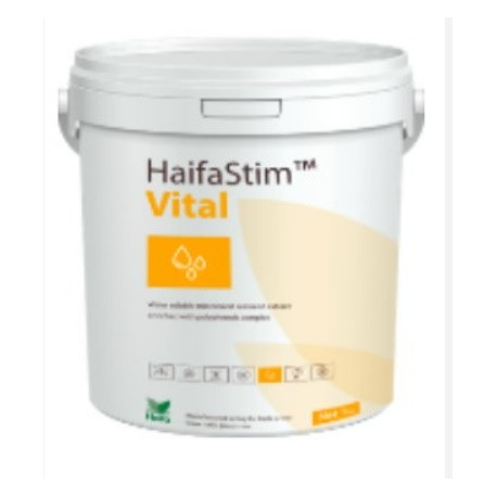 HaifaStim Vital